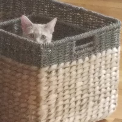 RaffBooks's profile picture. I'm Raff. I write stuff sometimes.