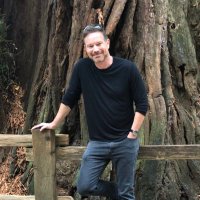 David Collins (@groovedawg) 's Twitter Profile