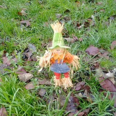 Ommarcacao's profile picture. #Antiuribista.