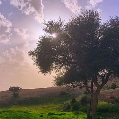 YVuNCJeObKukrpW's profile picture. 