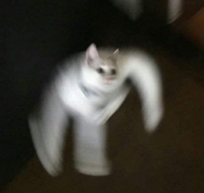 부동명왕👺さんのプロフィール画像