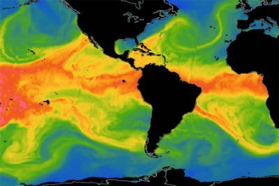 Climate Change awareness is our top priority. We need to protect the animals that are dying from Climate Change. The animals featured on here are endangered and