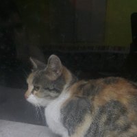 Berkfunda (@berkfunda3) Twitter profile photo