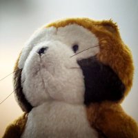 あす太🌽 (@asterisk_wks) Twitter profile photo