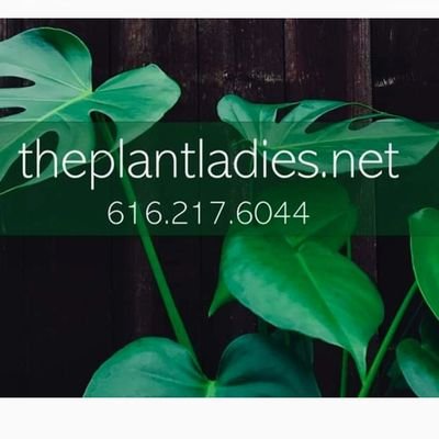 ruthstocking's profile picture. 