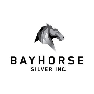 Bayhorse Silver (TSX-V:BHS) is an exploration and production company focused on high-grade silver/gold projects in Canada and the USA.