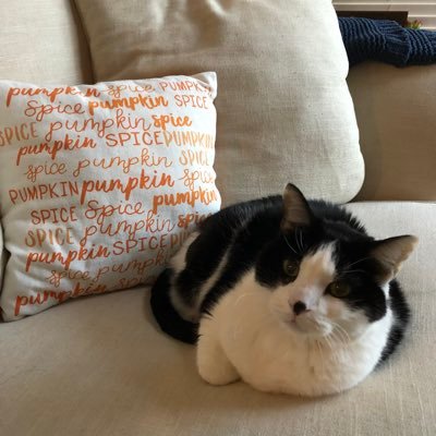 LongLiveJBheart's profile picture. 