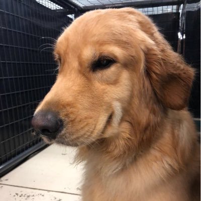 LeedSilverfield's profile picture. 