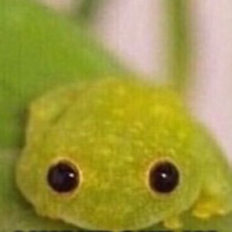 axolotlss's profile picture. (^: