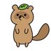 @tanuk1_ponpoko