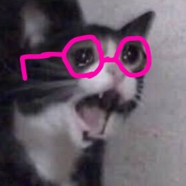 MollyLOLCatさんのプロフィール画像