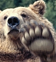 Phallossus's profile picture. Don't even hardly give a crap