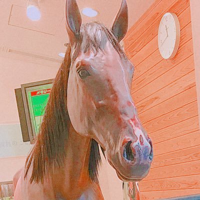 微力ながら大学馬術に関わっている人。暇さえあれば競馬旅へ。関学競馬サークルも。