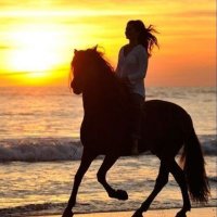 نوف الخالدي (@noouf47e) Twitter profile photo