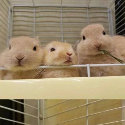 Pfqi6JmhV4MLgTA's profile picture. .