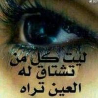 Ahmed-Aden (@qj7pegvbwptdbhp) 's Twitter Profile