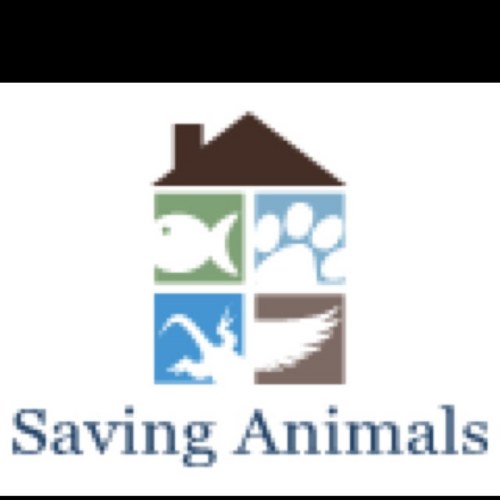 Saving_Animals's profile picture. We care for unwanted Animals