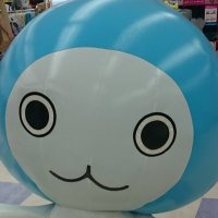 きすけ (@sukekisuke) 's Twitter Profile