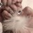babpyon_'s profile image