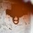 mg21f's profile image