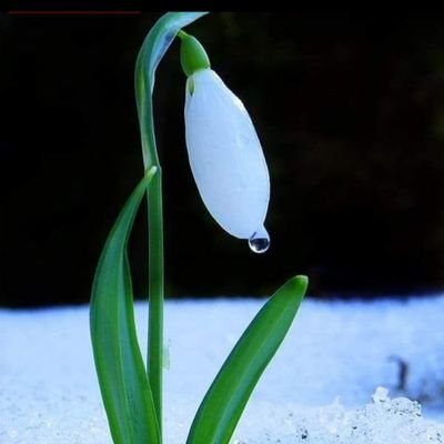 _ilahiask_'s profile picture. dua ile...