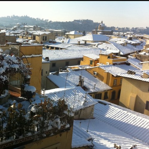 drwebstein's profile picture. Web nerd, sports fan, friend of many.