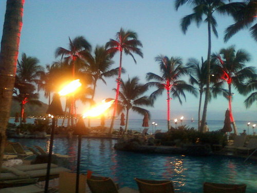 atf_guy's profile picture. 