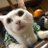 玲音のアイコン