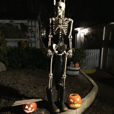 josie100262's profile picture. 