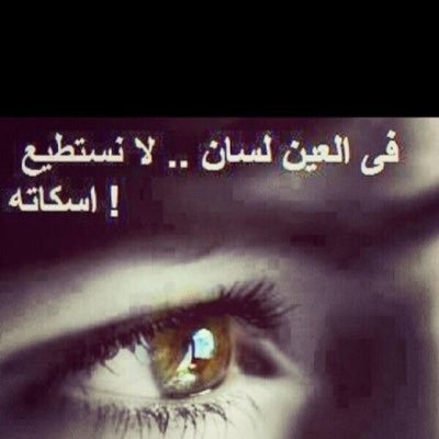 بكالوريوس لغة عربية وباحثة ميدانيةمدربه كوتش  مديرة مكتب رواد ضباء هاويه تصوير  احمل الحب في قلبي واحب الجميع ولو عدوي جريح مابخلت عليه بالدواء💛