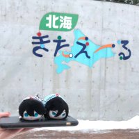 ながの@加賀国 (@shosen_fujoshi) Twitter profile photo