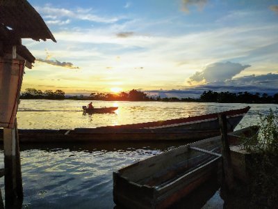 viejazorra3's profile picture. Experta en retwittear. No sé jugar Twitter.  Para usted, Señora Zorra.