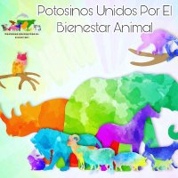Potosinos Unidos por el Bienestar Animal (@pubanimal) 's Twitter Profile