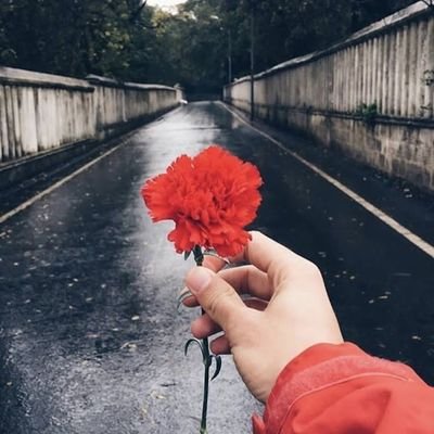 -
تجاهلني مرّة ، وأنا سأعلمك كيف يكون التجاهُل الأبدي بِـ إذن الله 😌♥.