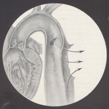 2019 NLM DeBakey Fellow; Aortic history; Manager, Division of Cardiothoracic Surgery, Micheal E. DeBakey Department of Surgery, Baylor of Medicine