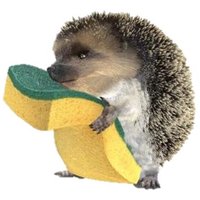 SONIK (@soniknc) 's Twitter Profile Photo