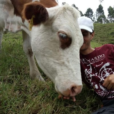 Ambientalista, Liberación animal.
Msc Holistic Science. Bicycle lover. Ex-Concejal de Cali.  #WaterFootPrint #Vegan #ÉticaInterespecie
FB:TerryActivista