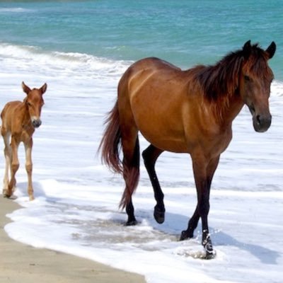 acaciablack5's profile picture. 