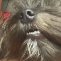 pthandley32 (@pthandley32) 's Twitter Profile