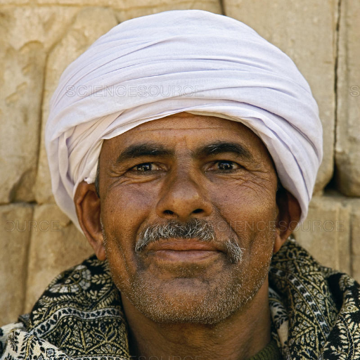 kurokishi_5121's profile picture. على الرغم من أن وجهات النظر الدينية قد تكون قد تغيرت من مصر القديمة إلى مصر في الوقت الحاضر ، فإن الثقافة المصرية تستهلك بالتأثير الديني.