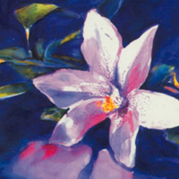 debroy's profile picture. Artist, Designer, Teacher, Video Marketing specialist - Life is a Journey not a destination