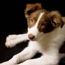 D John McCarthy - @Longleashllc - Twitter