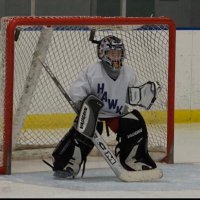 Gavin Powels (@gavinpowels) 's Twitter Profile