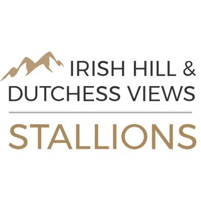 Thoroughbred stallion management company. Standing 3 of the 4 leading NY sires by 2019 progeny earnings at the largest stallion station in the region.