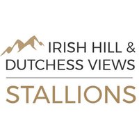 IHDV Stallions(@IhdvStallions) 's Twitter Profile Photo