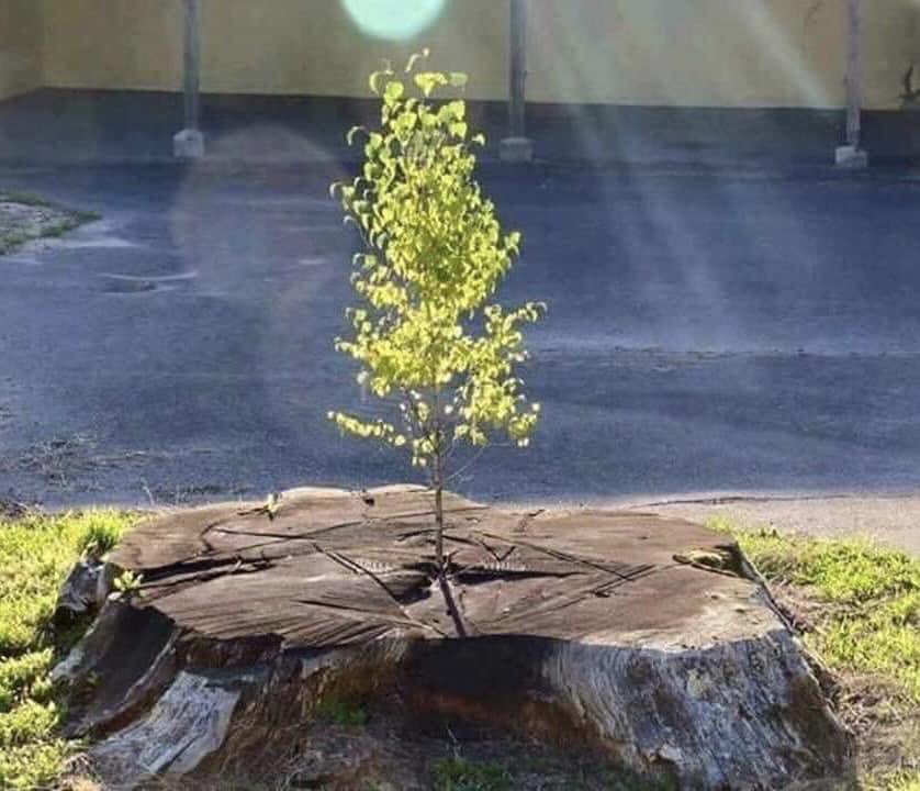 Adom83Boateng's profile picture. Life without Jesus Christ is full of crisis.