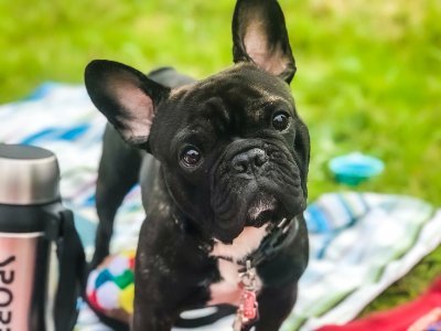 momotan0526's profile picture. Twitter初心者です。
主に仕事用に検索したりつぶやいたりするのに使っています。
星野リゾート→JICA青年海外協力隊(ベトナム)→PIXTA コンテンツ部←今ここ！