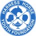 Harness Horse Youth Foundation (@hhyfexperience) Twitter profile photo Harness Horse Youth Foundation (@hhyfexperience) Twitter profile photo