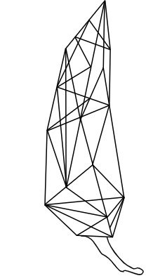 Friggitello1's profile picture. Built with Dreams...