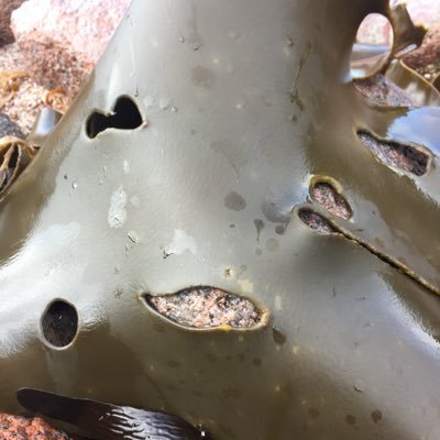 ejawilliams58's profile picture. 